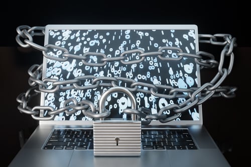 shutterstock_2175113181